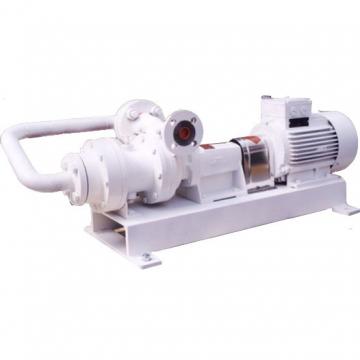 Vickers PV020R1K1T1NFWS Piston pump PV