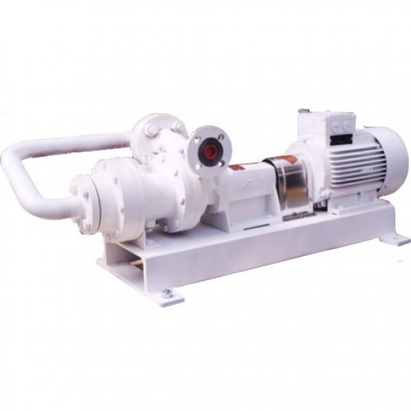 Vickers PV020R1K1T1NFWS Piston pump PV #2 image